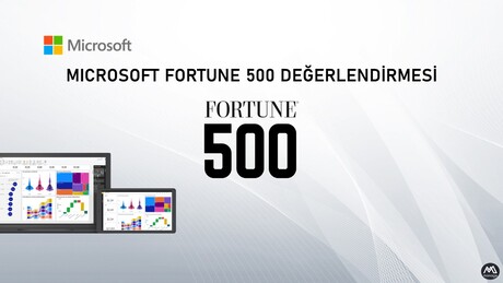 Microsoft Power BI Fortune 500